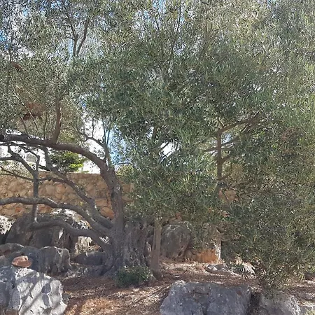 Robinson House Duje Casa de Férias