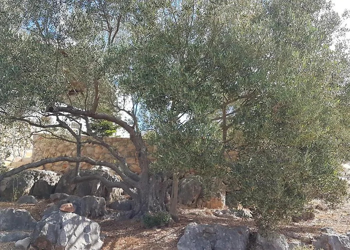 Robinson House Duje Dom wakacyjny